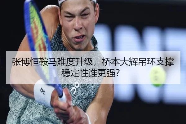 张博恒鞍马难度升级，桥本大辉吊环支撑稳定性谁更强？