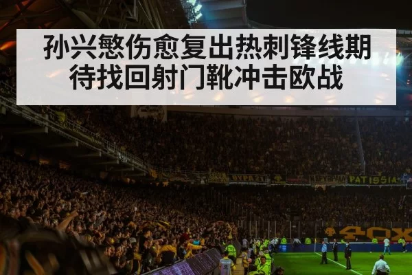 soccer stadium atmosphere