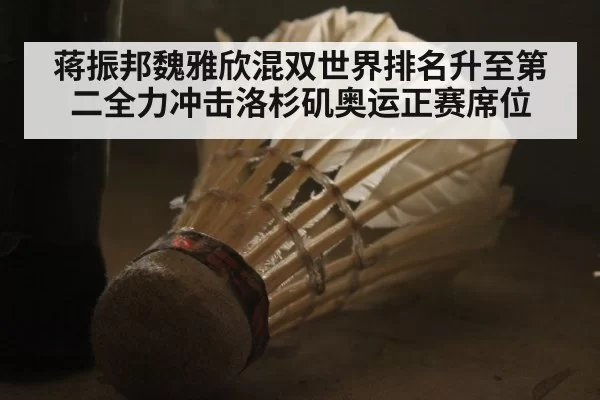 蒋振邦魏雅欣混双世界排名升至第二全力冲击洛杉矶奥运正赛席位